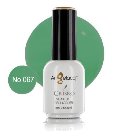 Ημιμόνιμο επαγγελματικό βερνίκι Angelacq 15ml 067(πράσινο παπαγαλί)