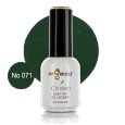 Ημιμόνιμο επαγγελματικό βερνίκι Angelacq 15ml 071 (κυπαρισσί)